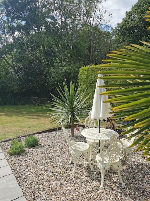 The Squirrels- Alresford, Essex Apartment ภายนอก รูปภาพ