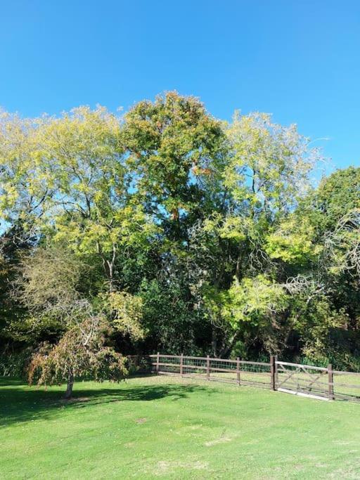 The Squirrels- Alresford, Essex Apartment ภายนอก รูปภาพ